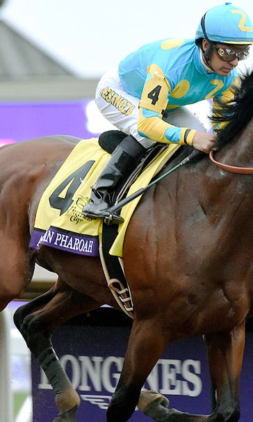 The case for American Pharoah for Sportsman of the Year